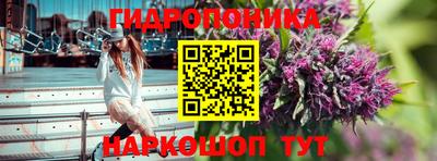 ешки Будённовск