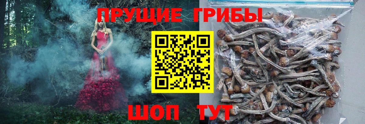 Галлюциногенные грибы ЛСД Ярославль