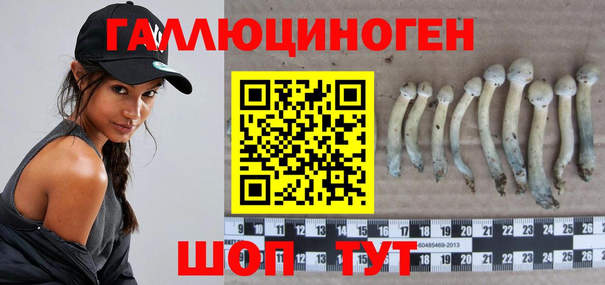 Псилоцибиновые грибы Psilocybe  Вход с VPN  Ярославль  Галлюциногенные грибы мицелий 
